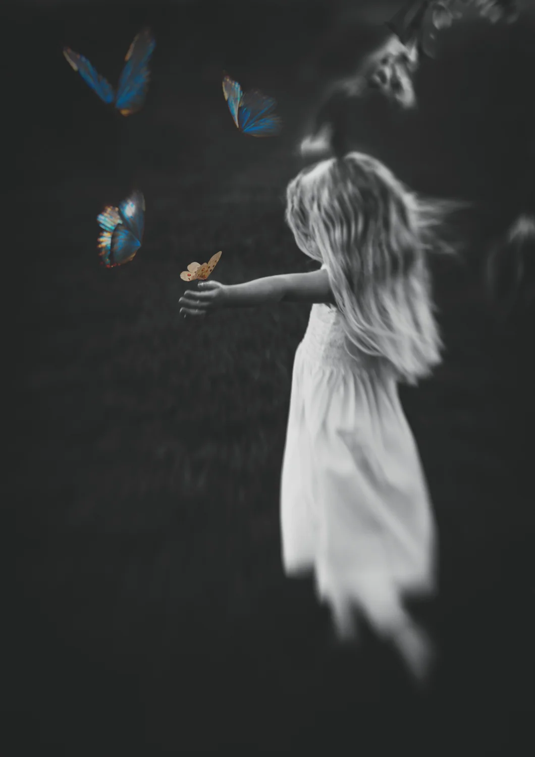 What dreams are made of-1.jpg