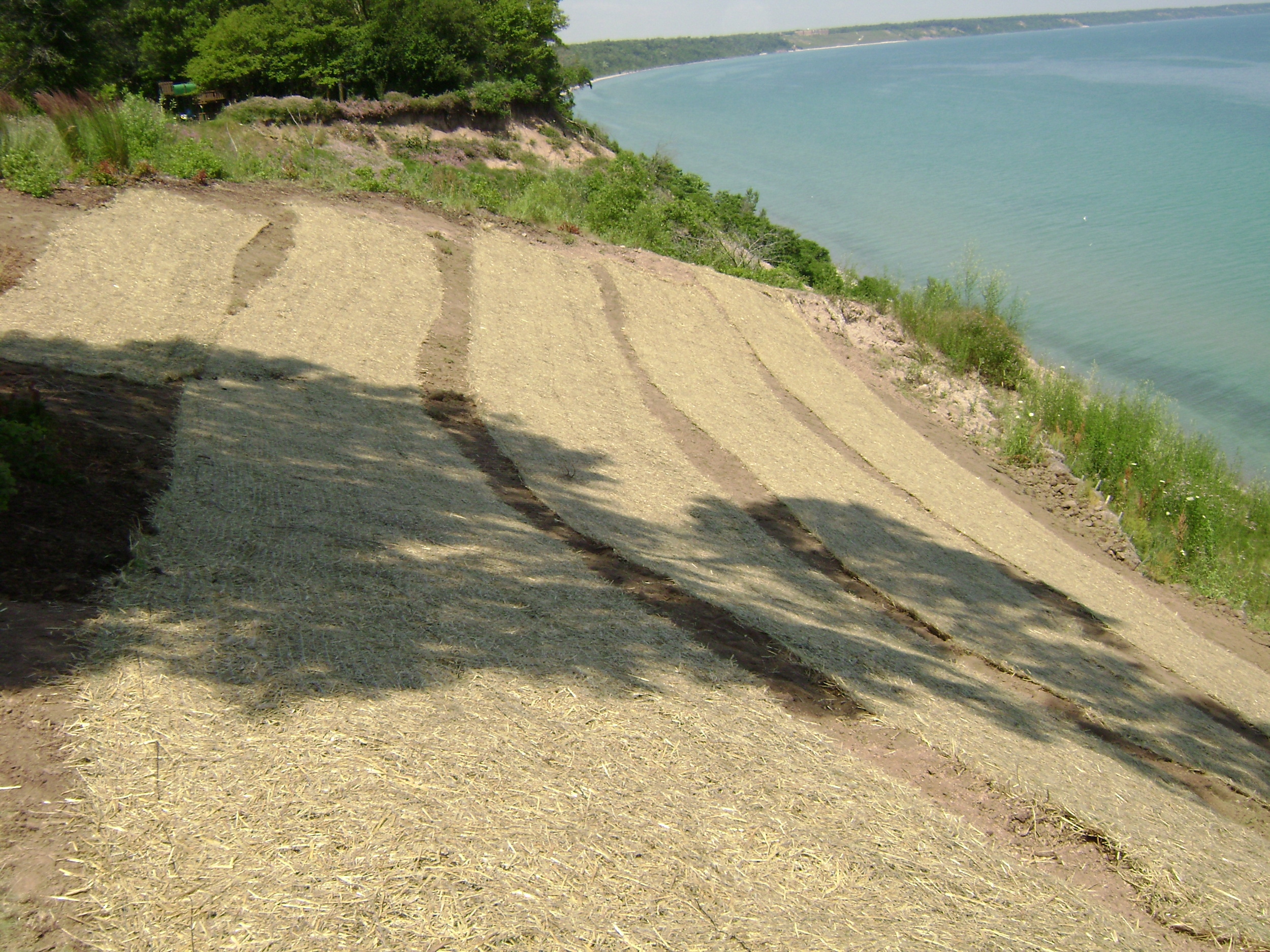 Natives and Wildlife — Cutting Edge Lawn Maintenance & Landscaping