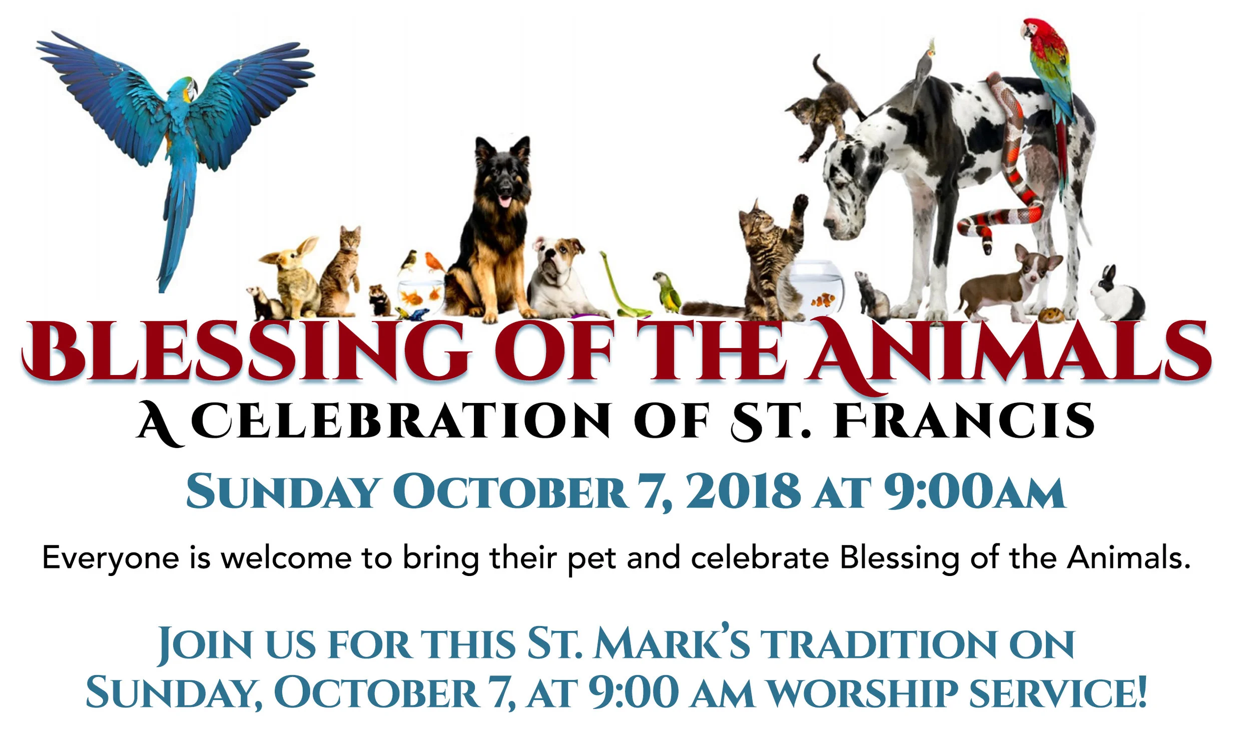 Blessing of the Animals 2018 for Web.jpg