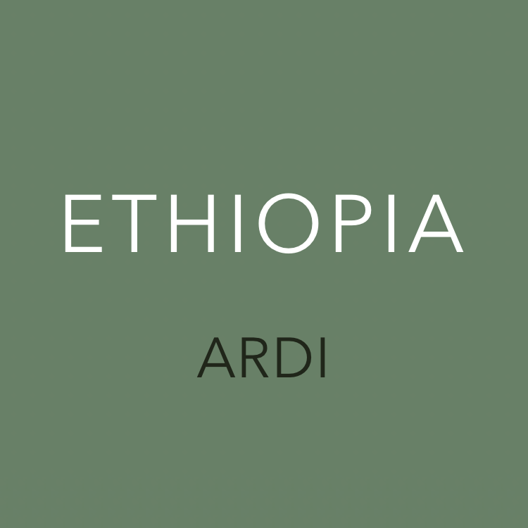 Ardi