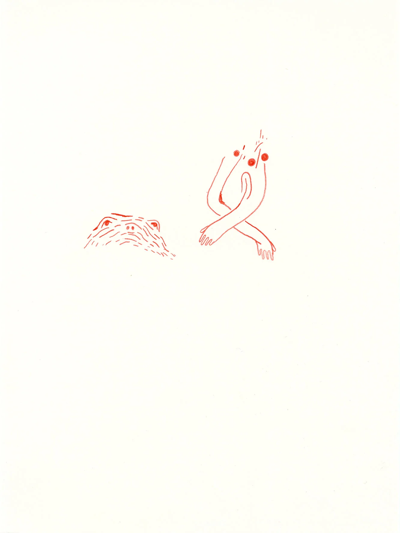 Toad_2014_Small.jpg