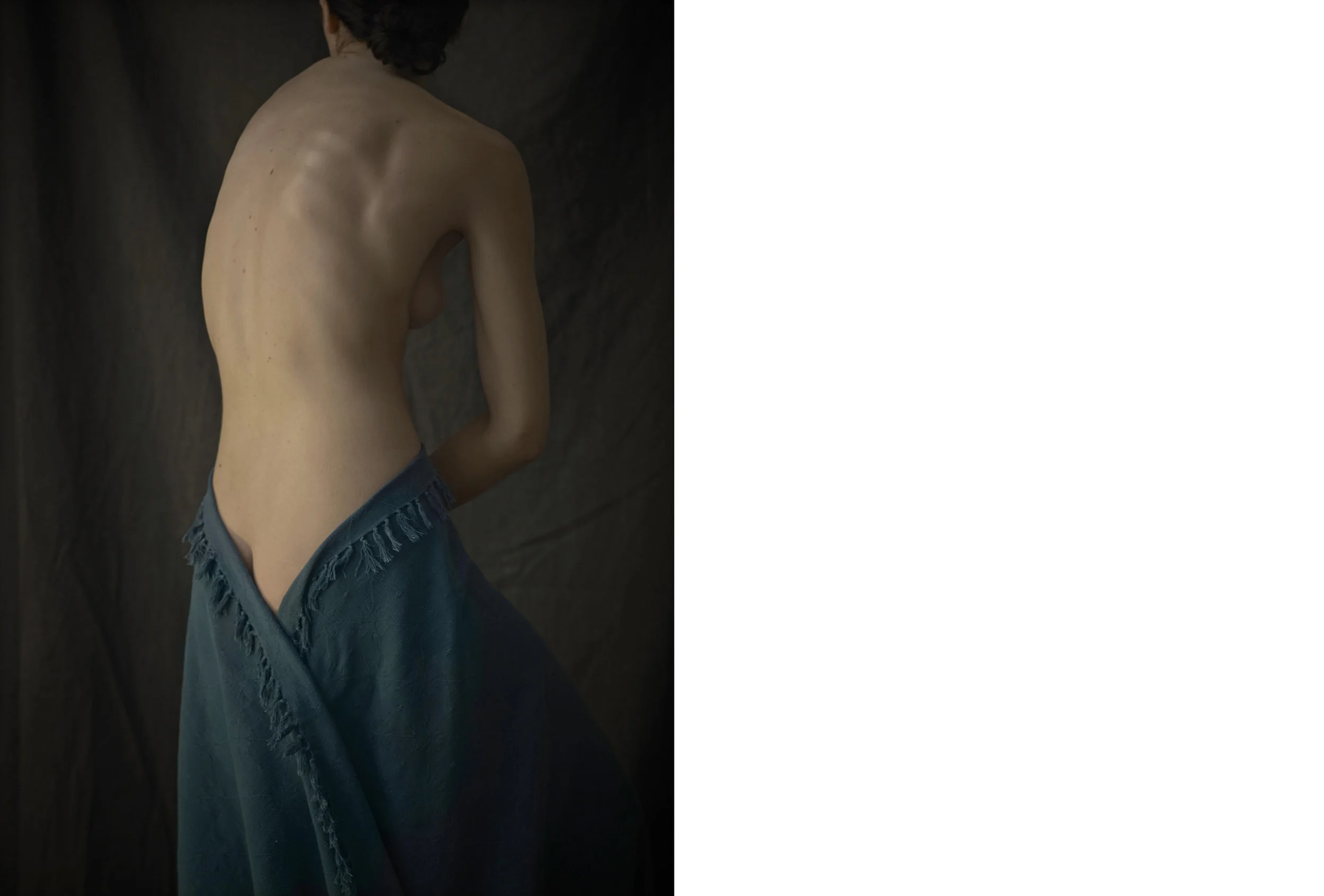 NewWebCatalogue GREEN DRAPE BACK CURVED PRINT.jpg