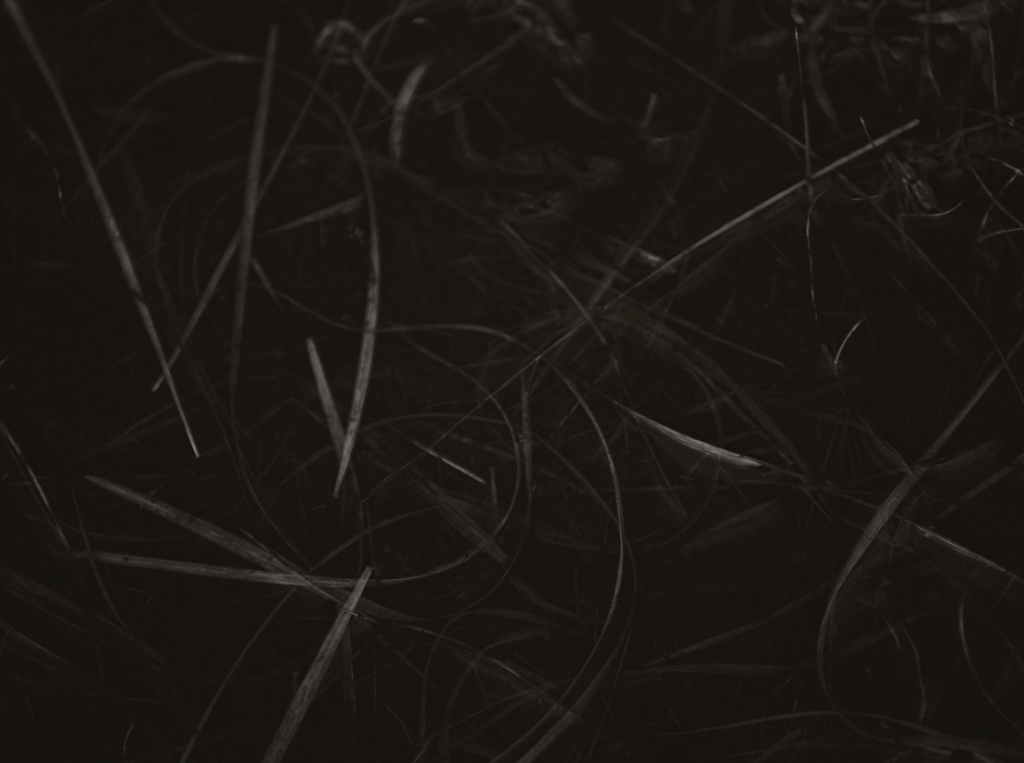 5066a357-ee96-4cc1-86ad-41172eeb13c5.png
