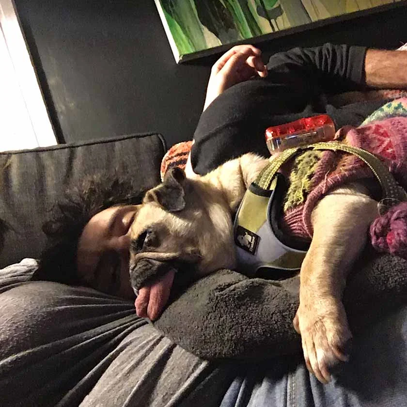 Mike asleep with Roxy (on me).