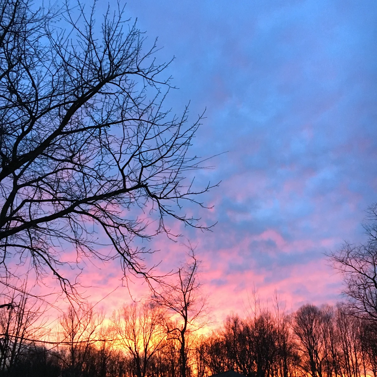 One of those amazing sunsets we get in winter.