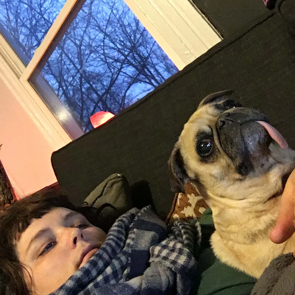 Roxy and I watching Six Feet Under.