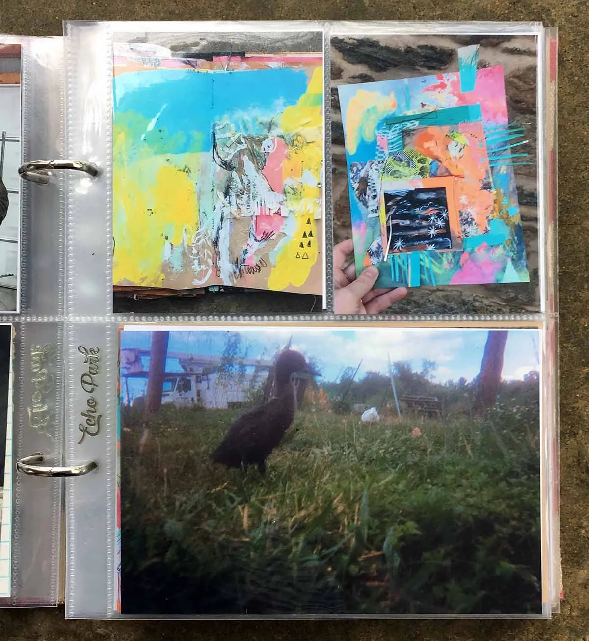 Art and ducks.