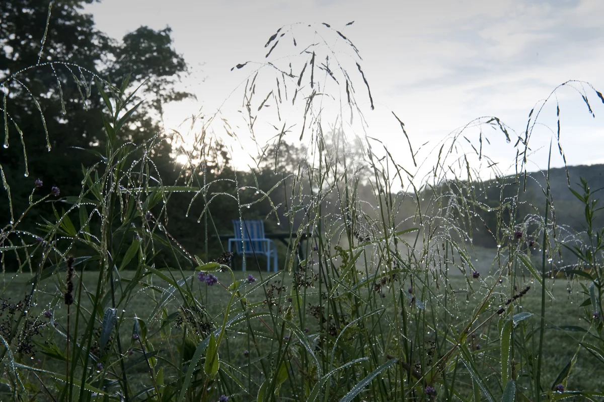Walking a Path to Nowhere-1.jpg