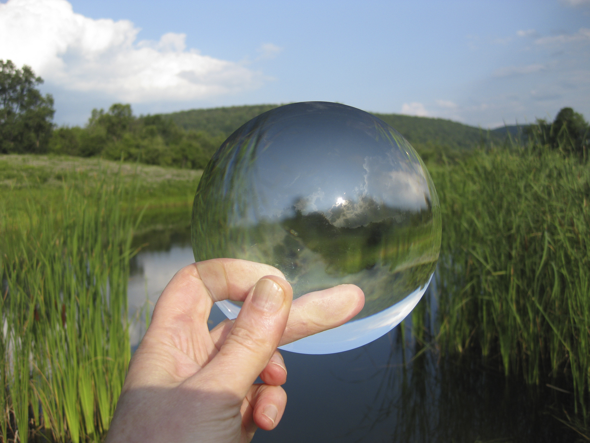 Nature through a lens darkly