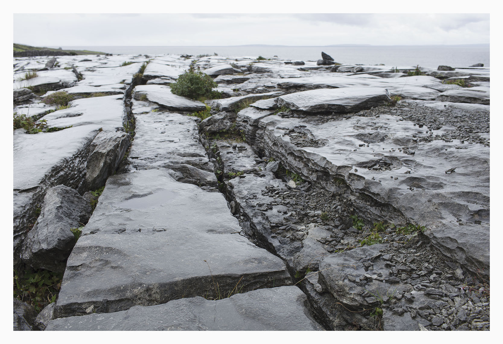 A Kelly_Limestone Pavements_Black Head 32 borders copy.jpg