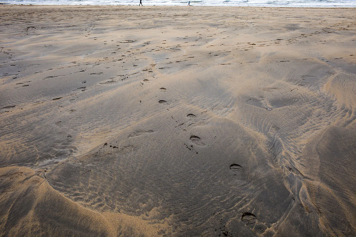 web_walk on beach 2040.jpg
