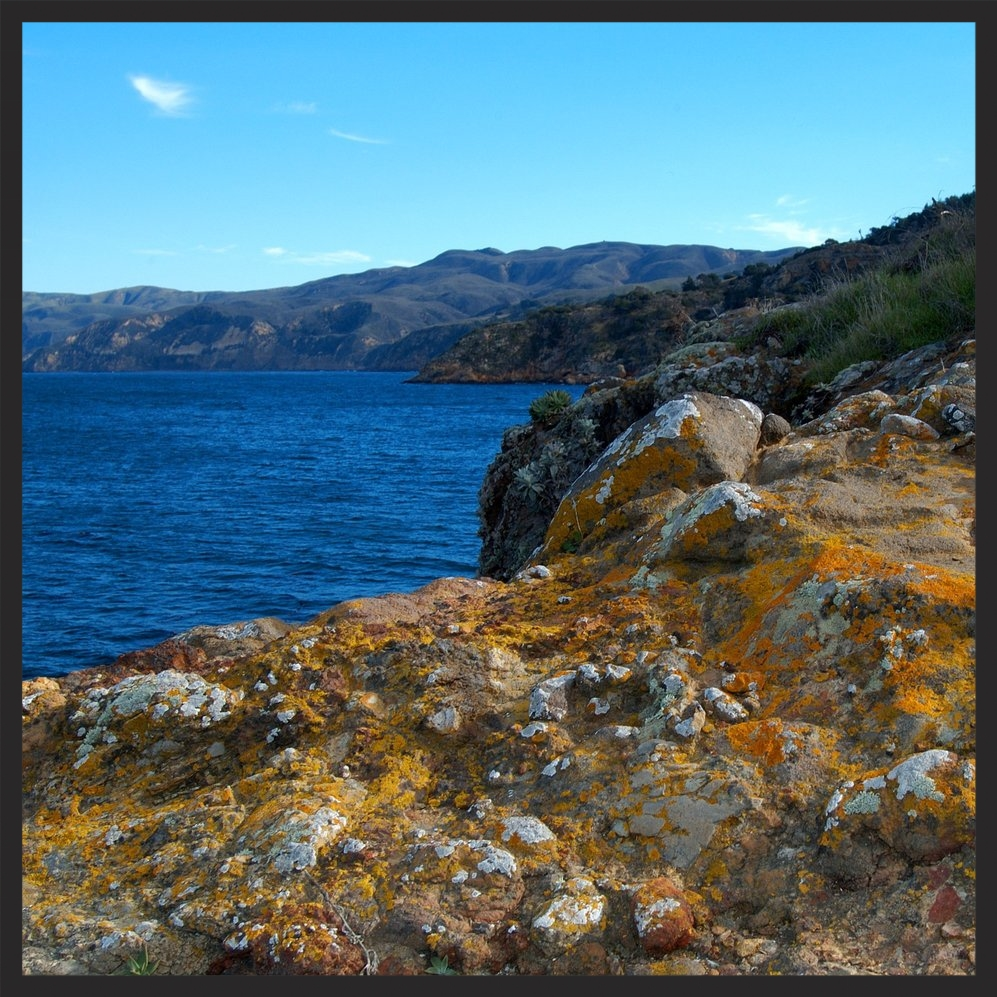 Lichen_encrusted_rocks_adorn_the_cliffs_of_Santa_Cruz_Island.jpg