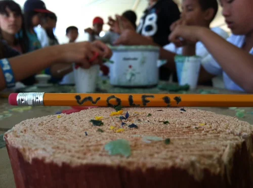 WOLF_staff-33.jpg