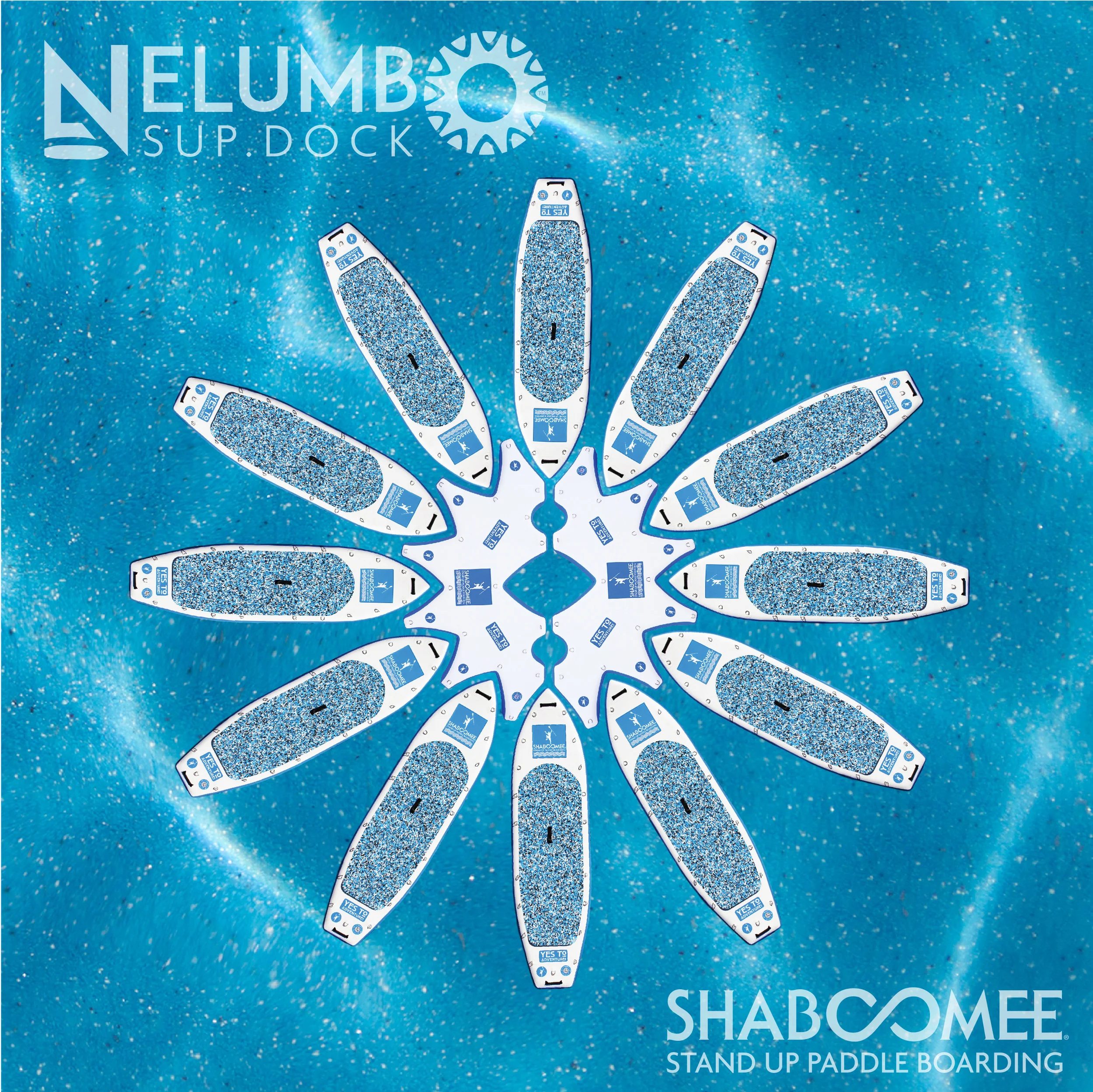 Nelumbo-lotus setup.jpg