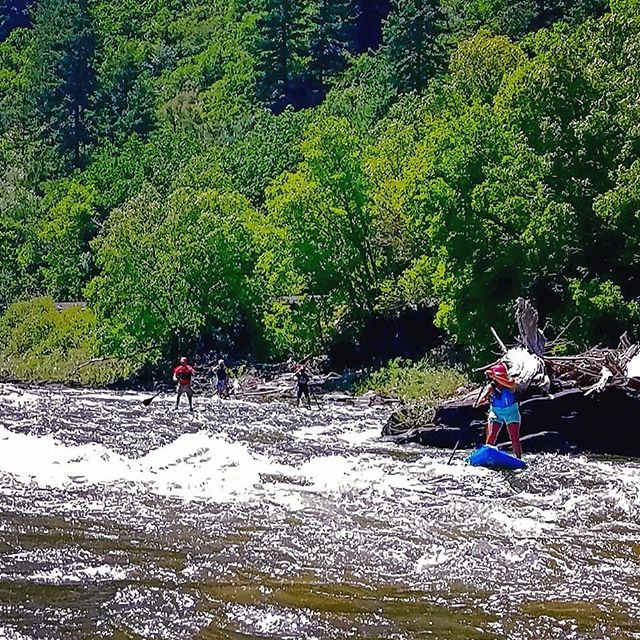 Not the best photo I've got of day 37, but I just love the image of Stacy leading the boys through!!
#yestoadventure #supyes #shaboomee #100daysonaSUP #GLOSSY