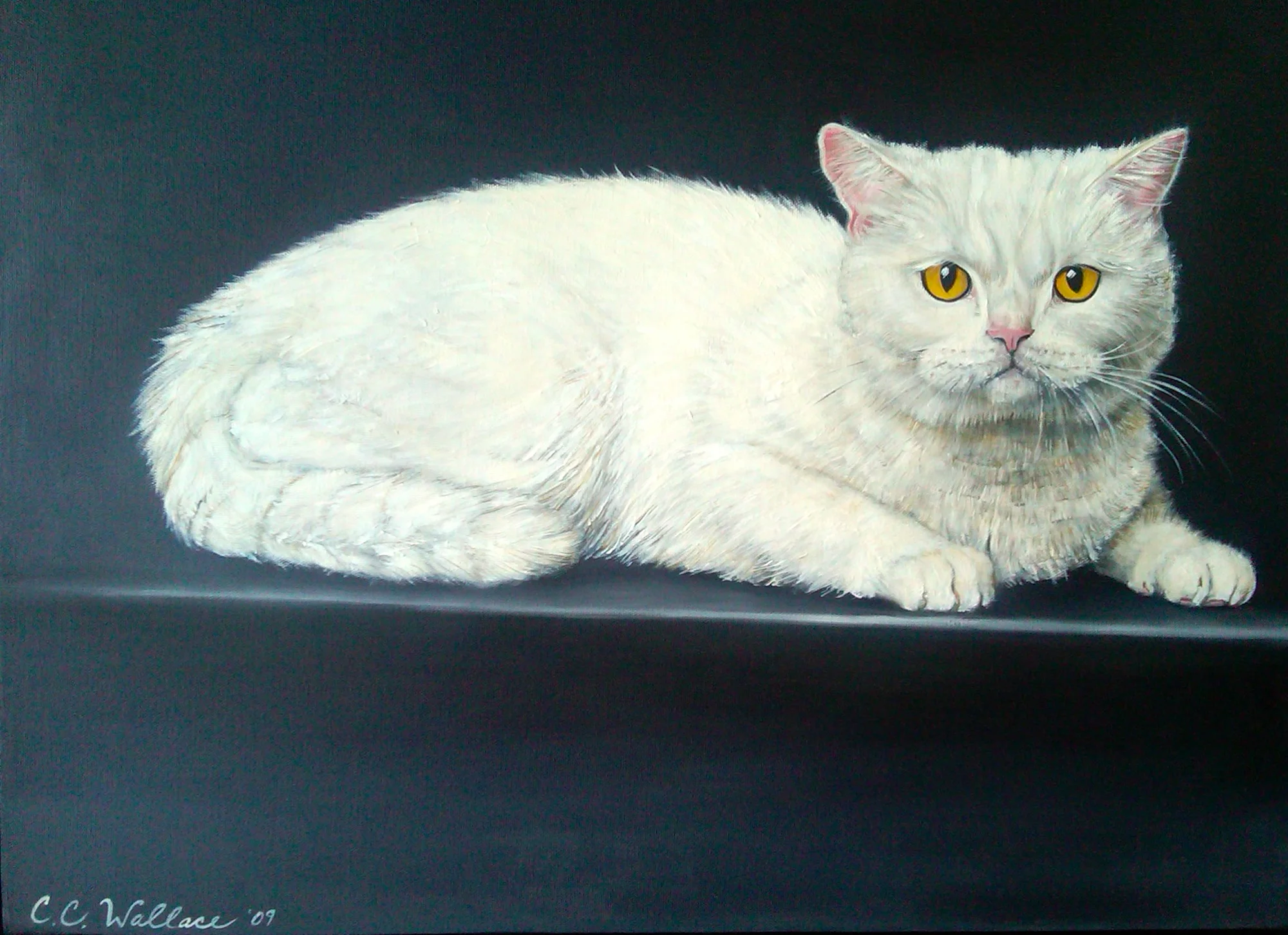  A beautiful portrait of a gorgeous Cat! Oils on canvas 