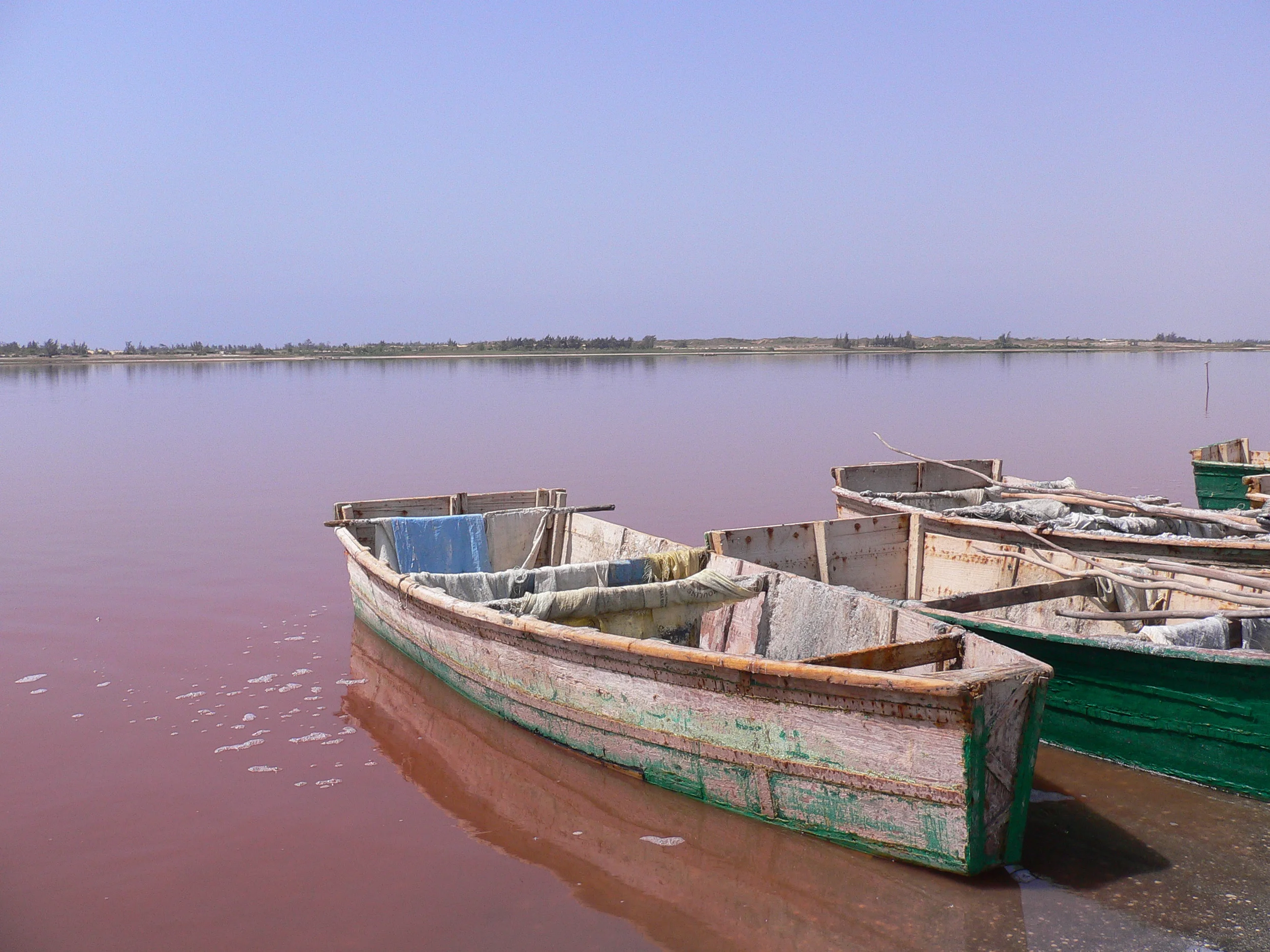 P1040551.JPG