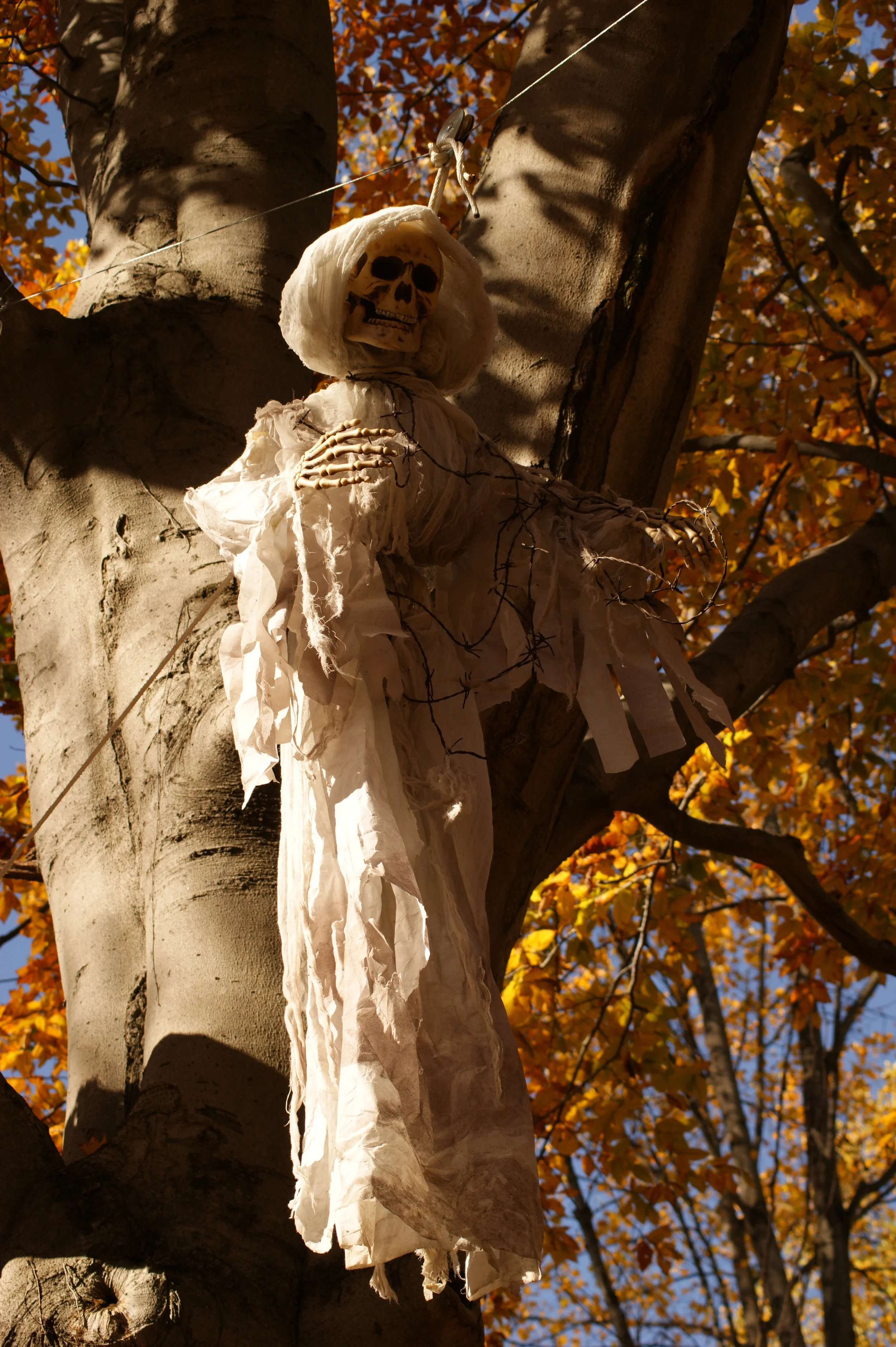 Don't forget to look up!