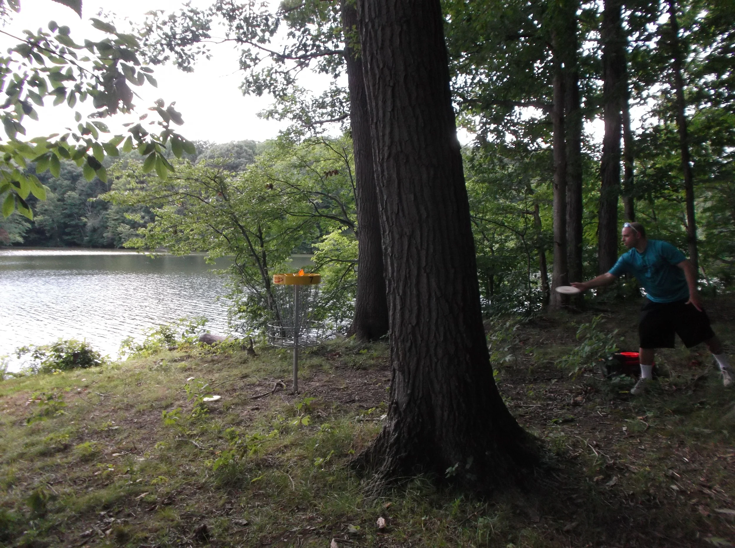 Hole 7. Our course has two placement for the basket on each hole. This allows us to slightly modify the course layout. This it the B position on this hole.