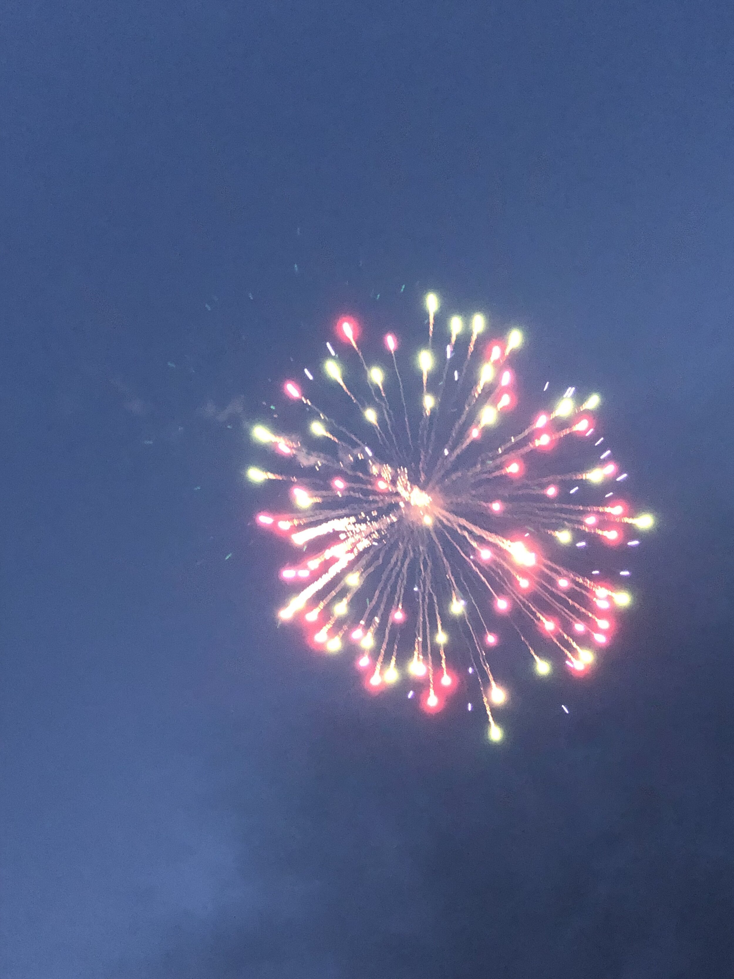 firework 3.jpg