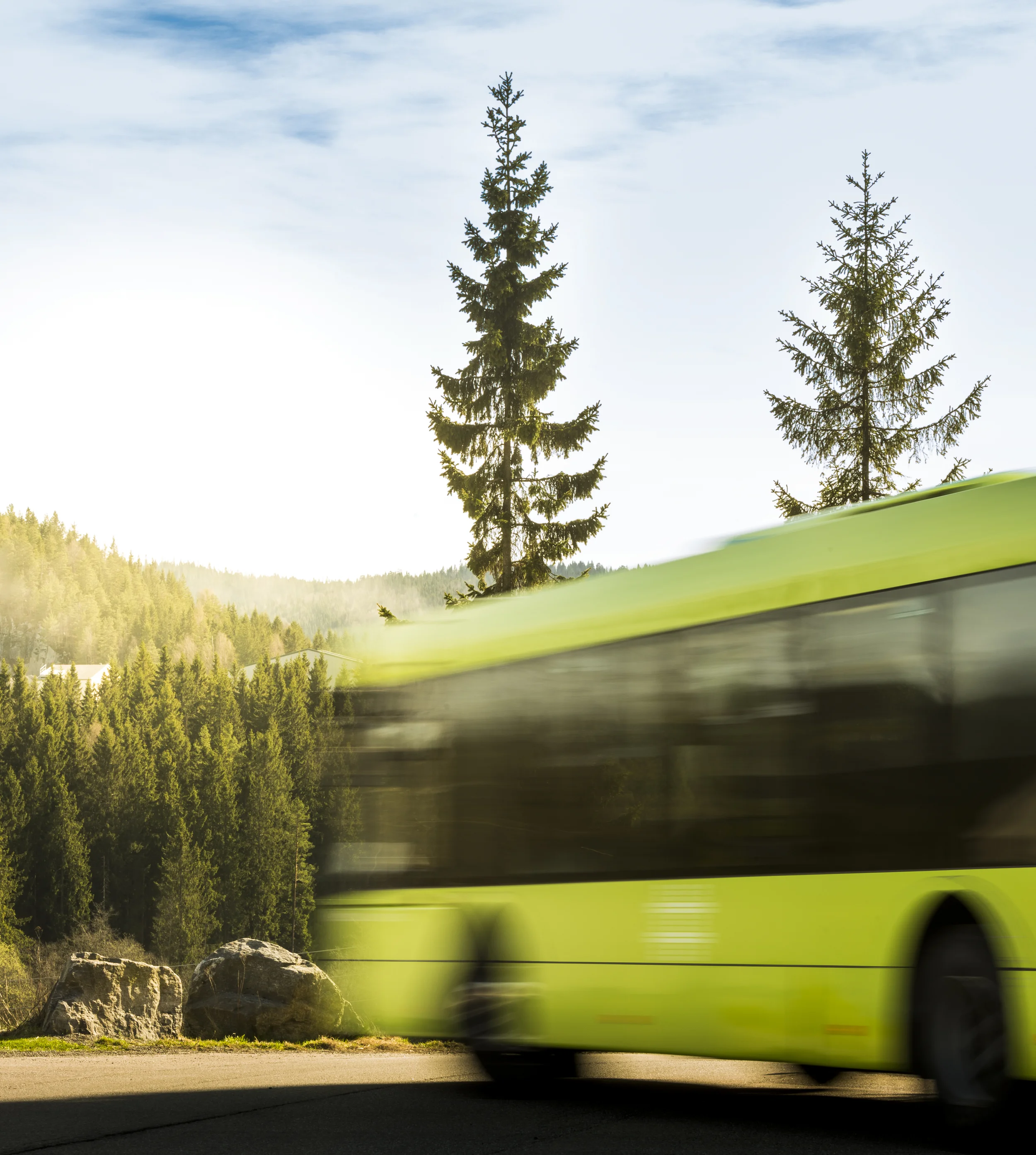 Ruter