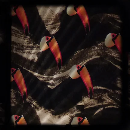 bdt_toucan.jpg