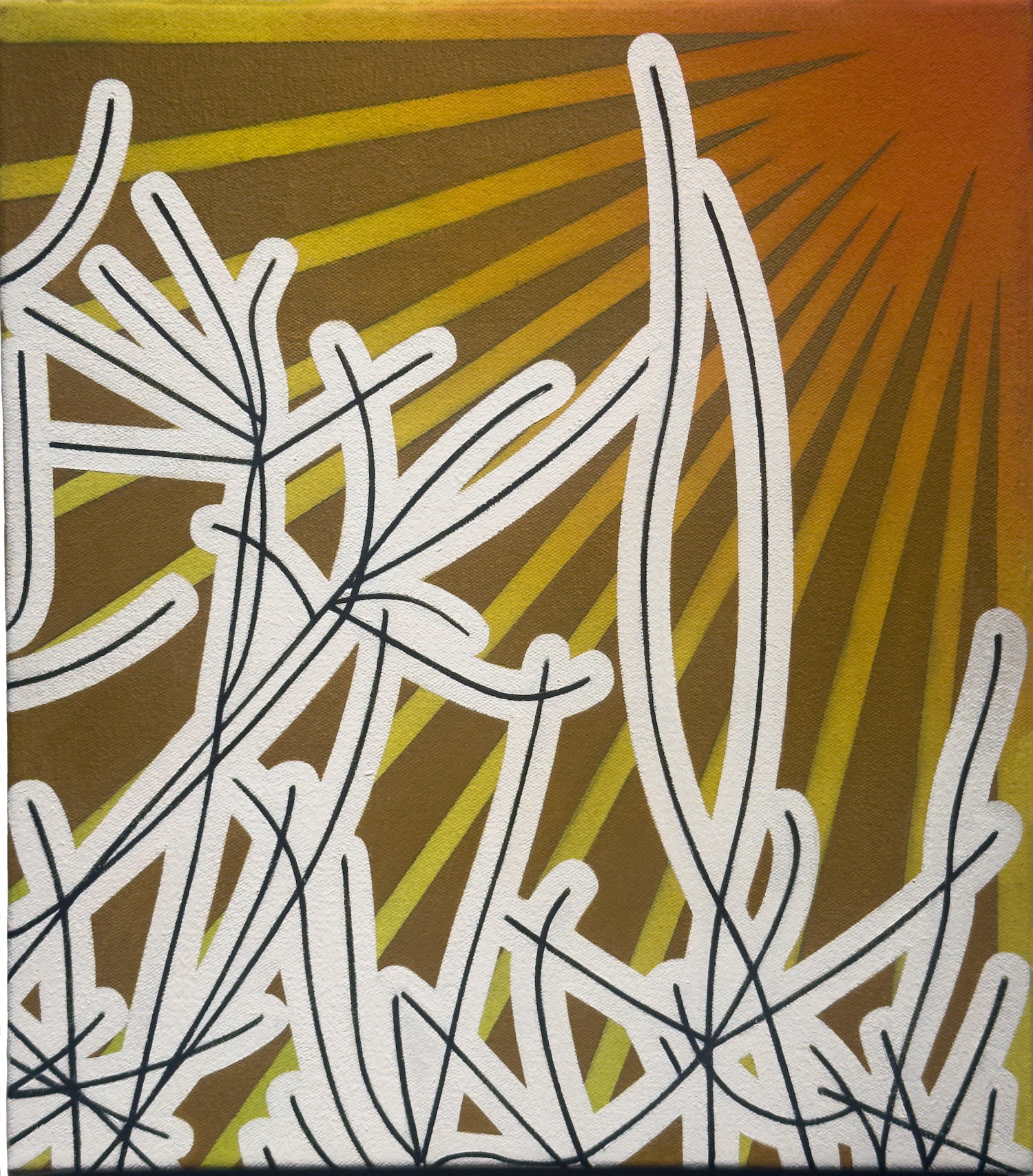 Tree Tops in the Sun