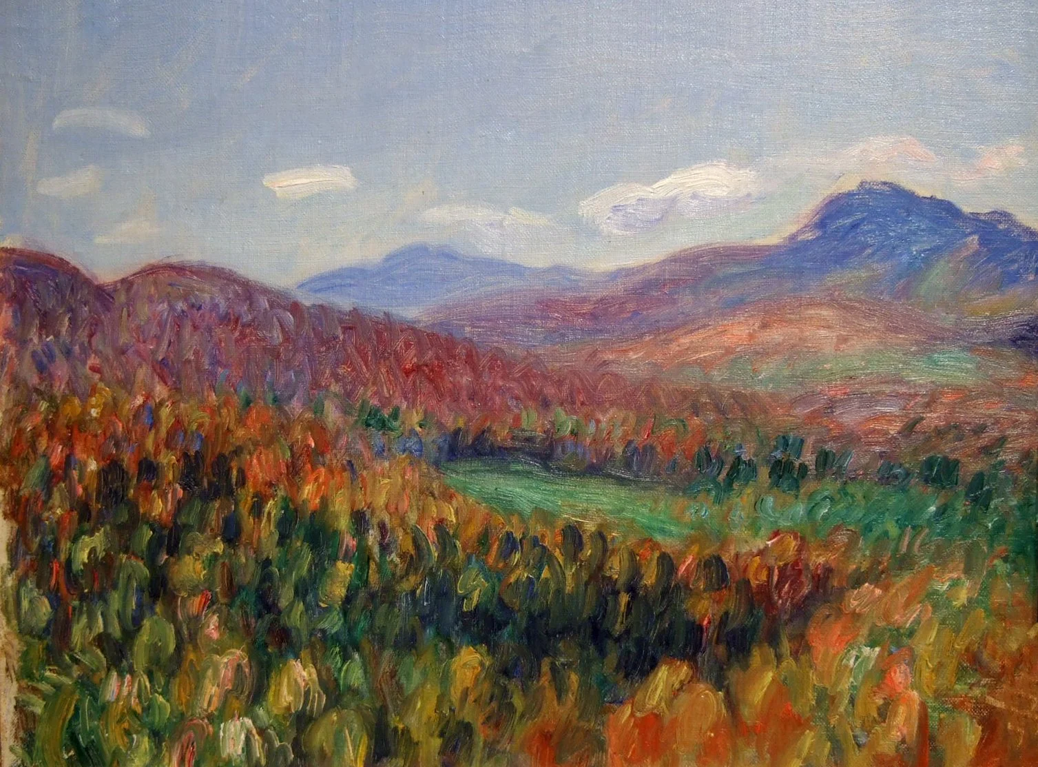 Foothills of the White Mountains