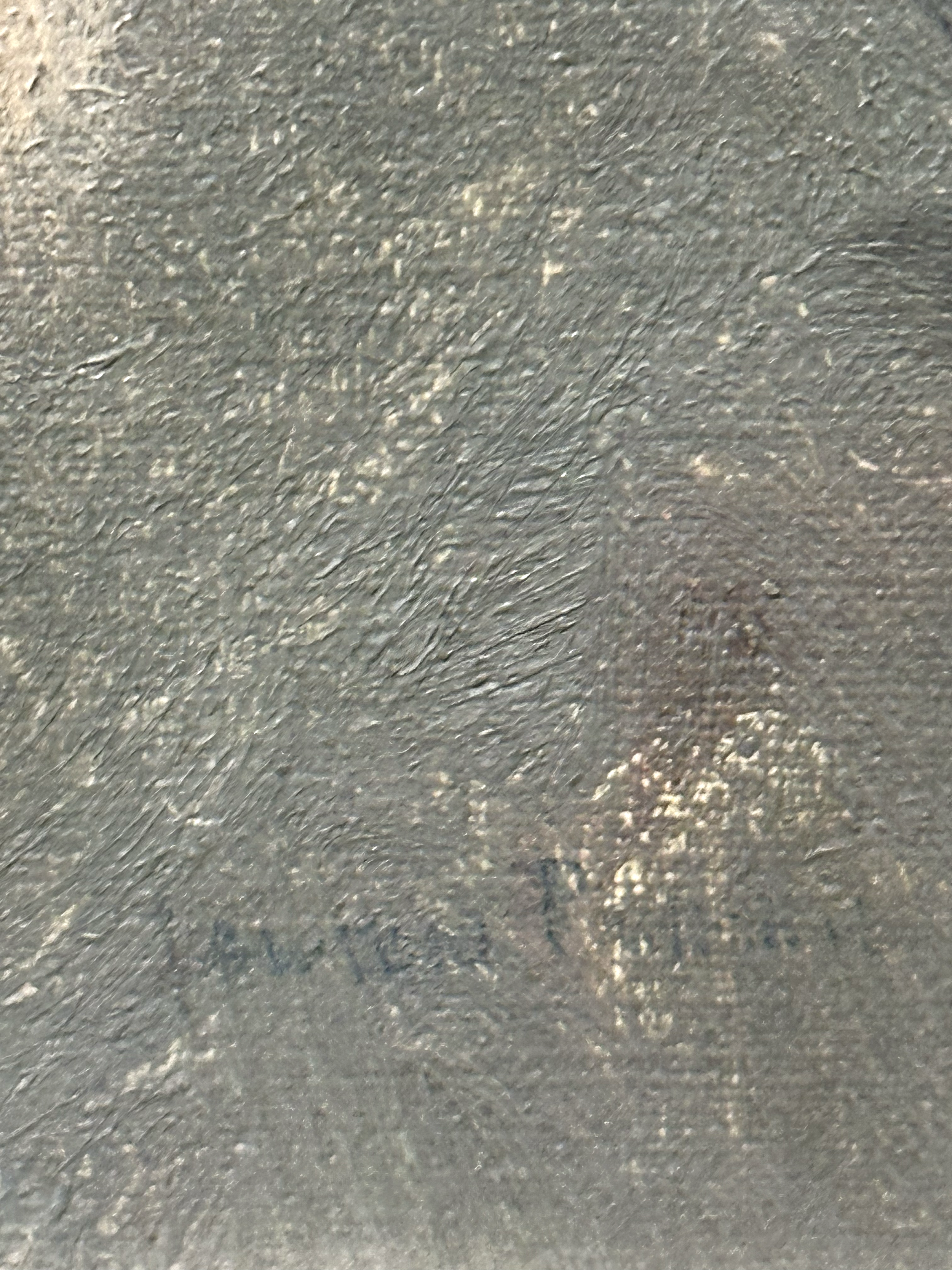 (Sarah Snowdon Parker)