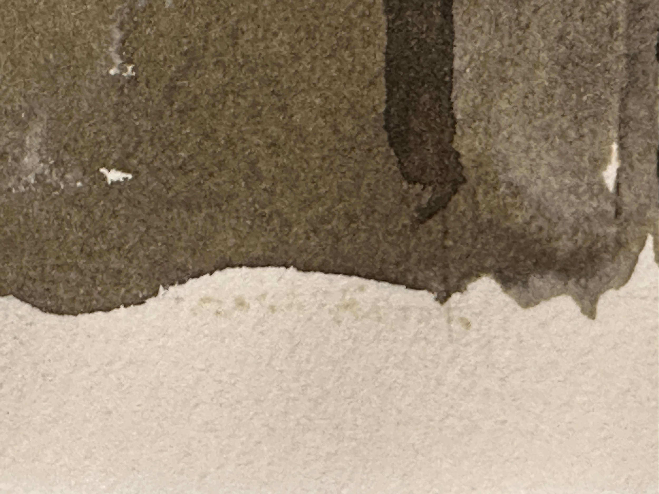 Hirsch_signature _remanats.png
