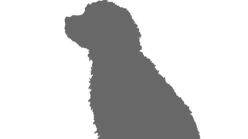 Cooper5 copy.jpg
