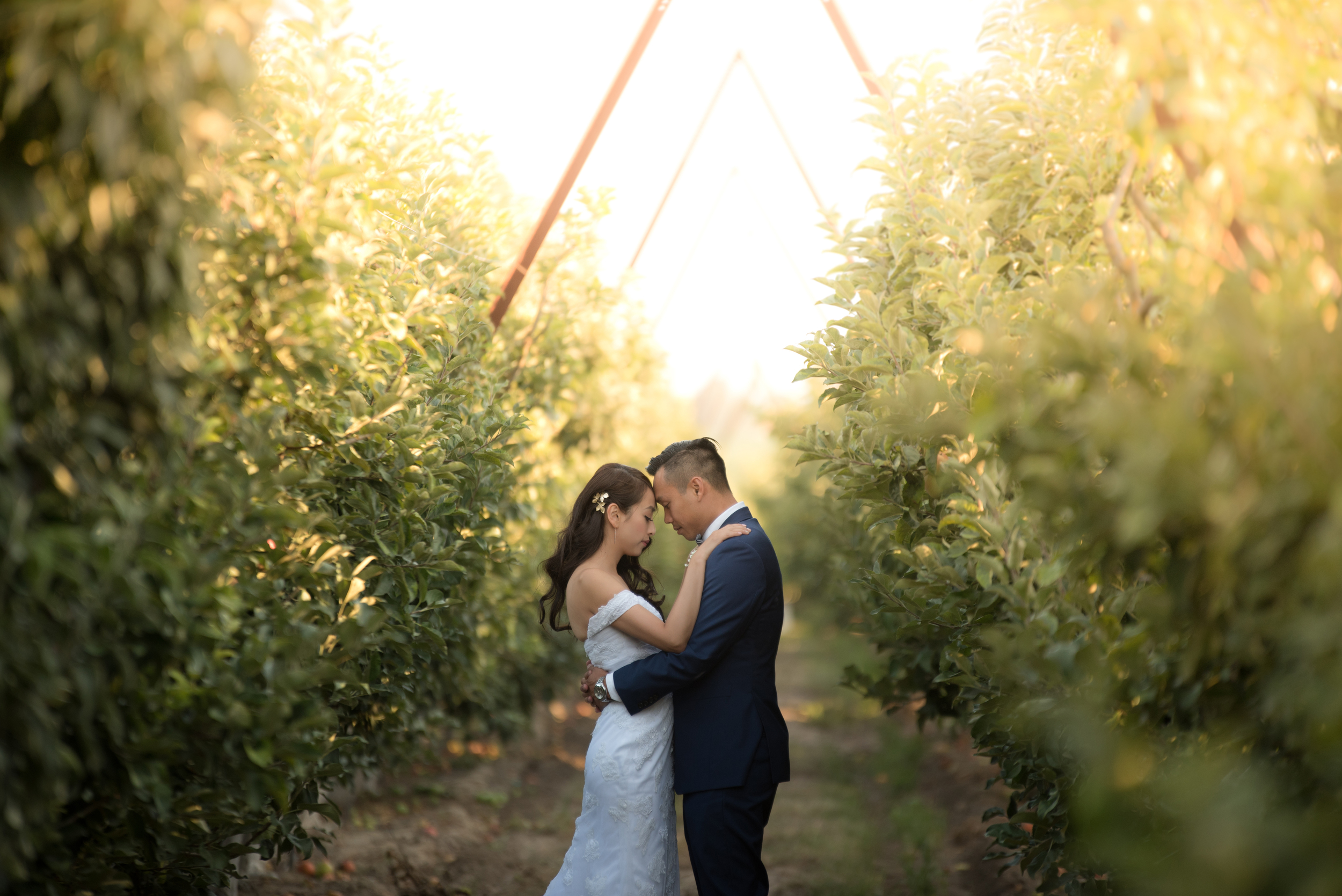 San Luis Obispo Wedding Photographer