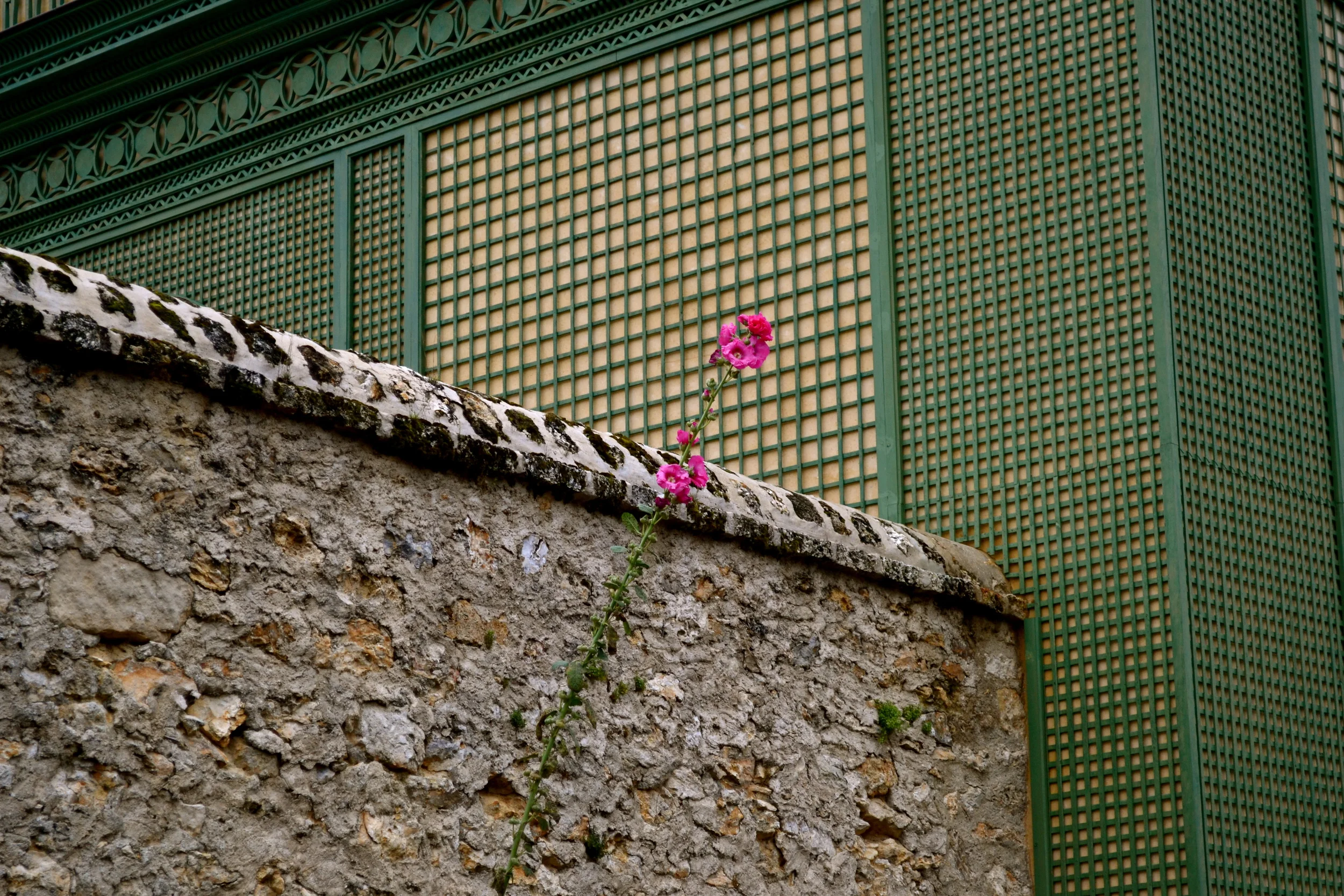 DSC_0964_2.JPG