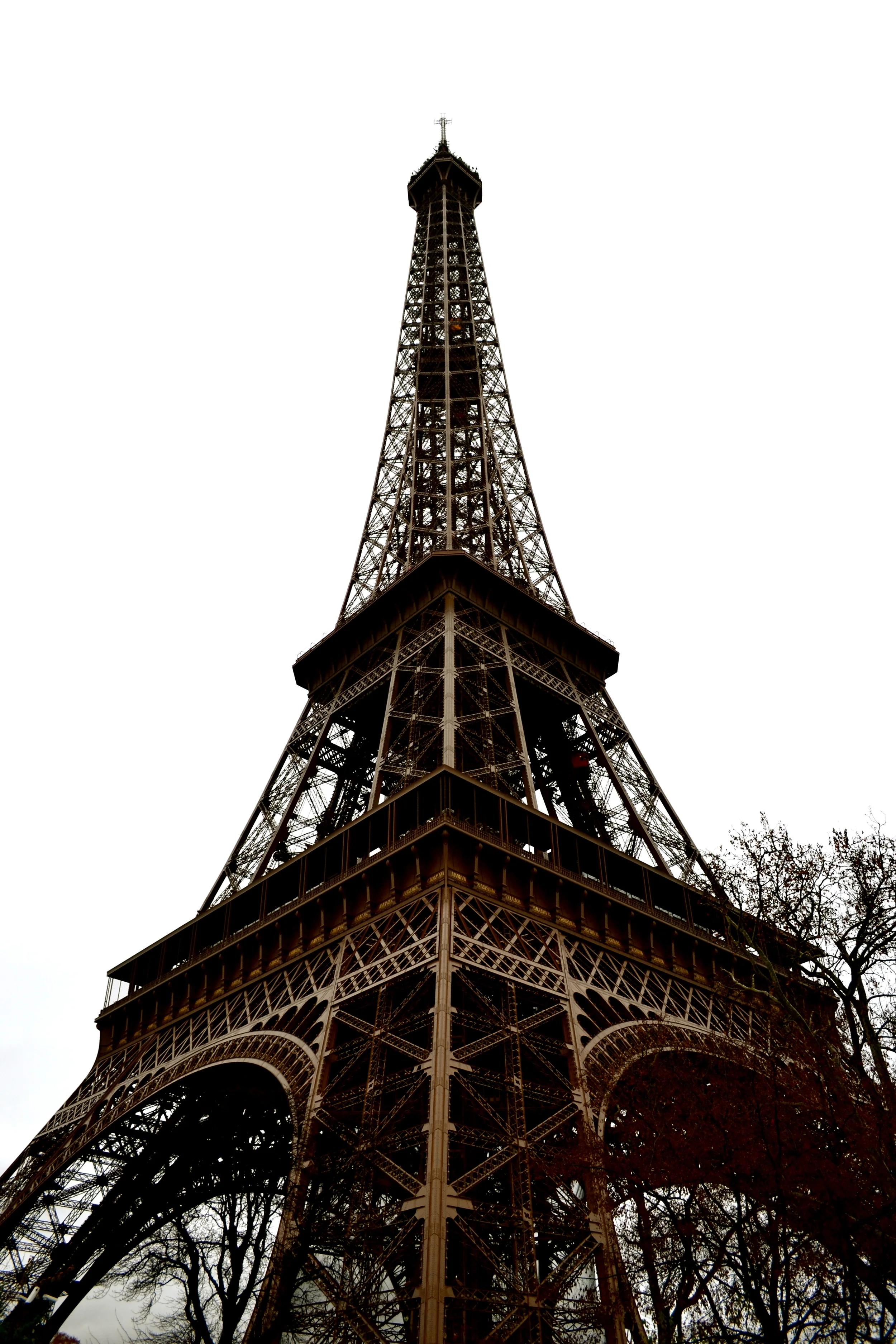 DSC_0055_2.JPG
