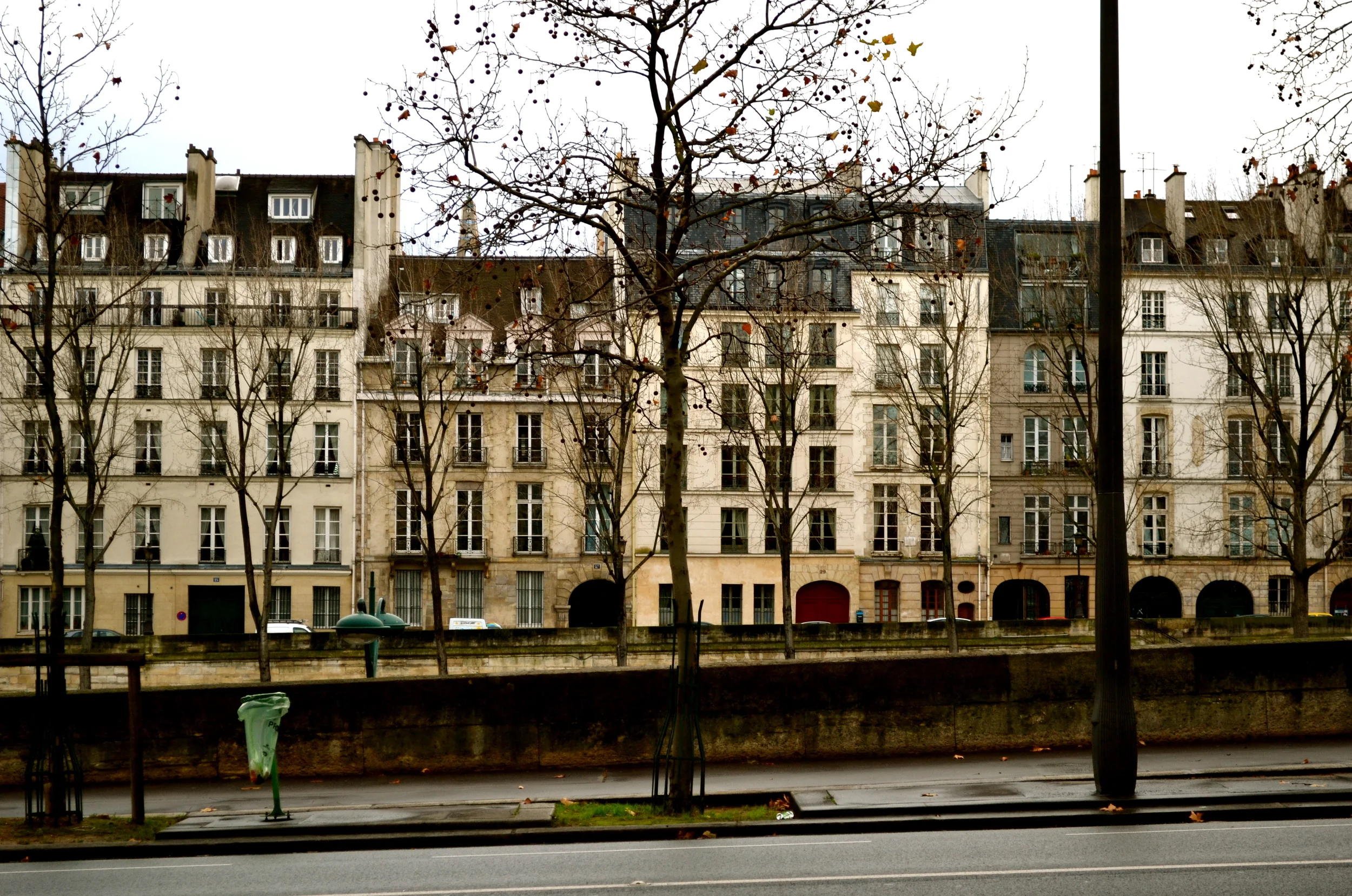 DSC_0177.JPG