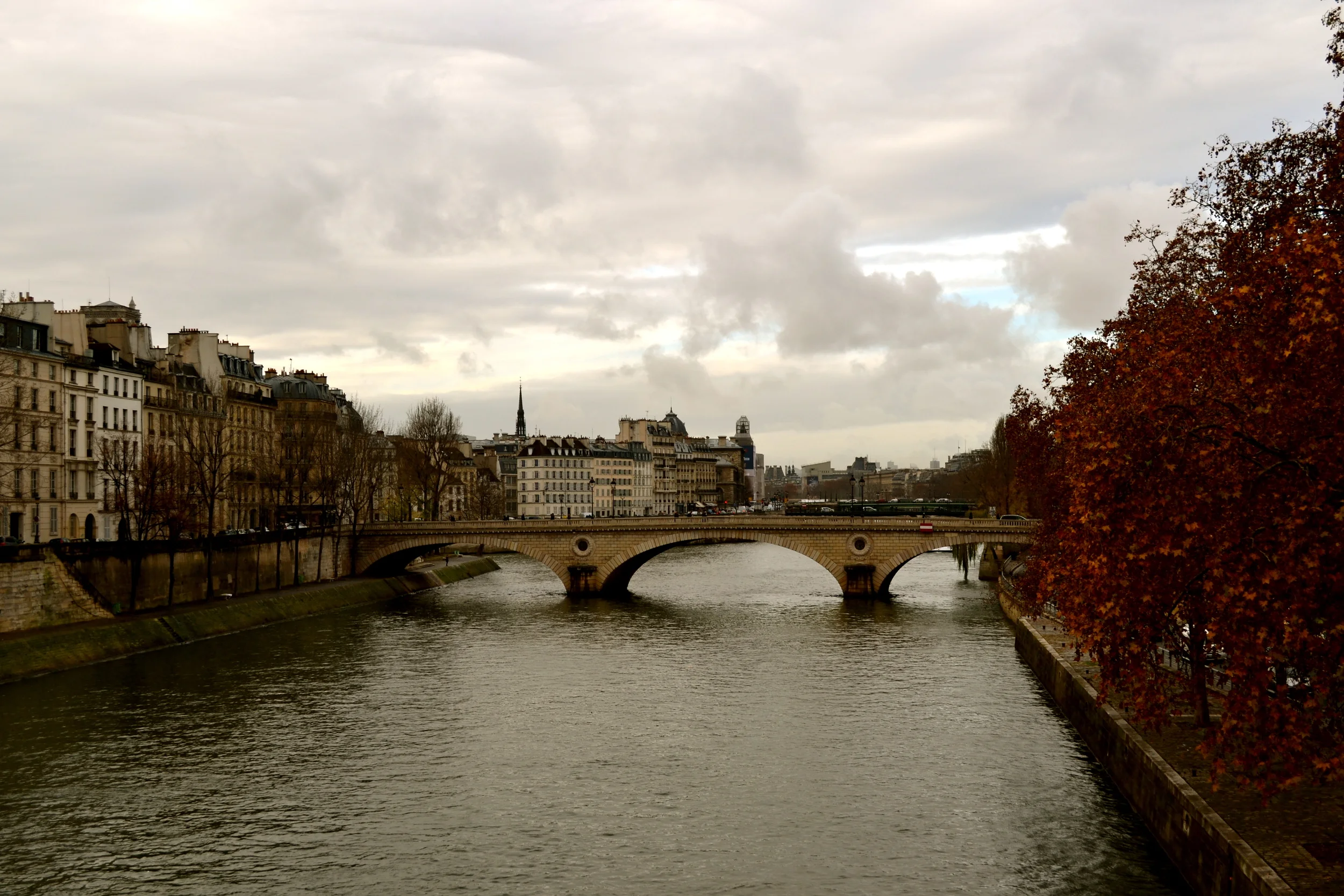 DSC_0187_2.JPG