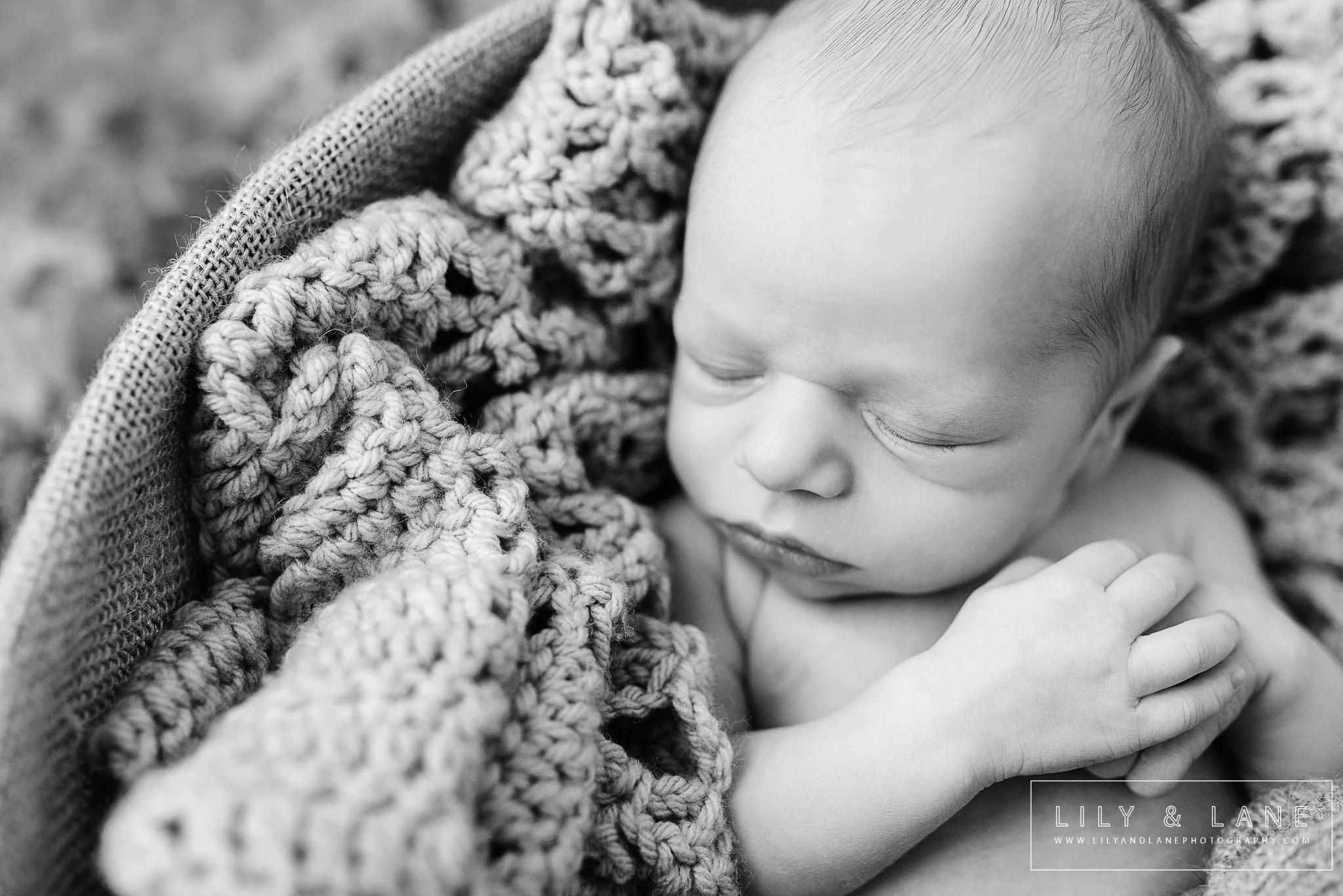 LilyandLane_VictoriaBC_NewbornPhotographer (12).jpg
