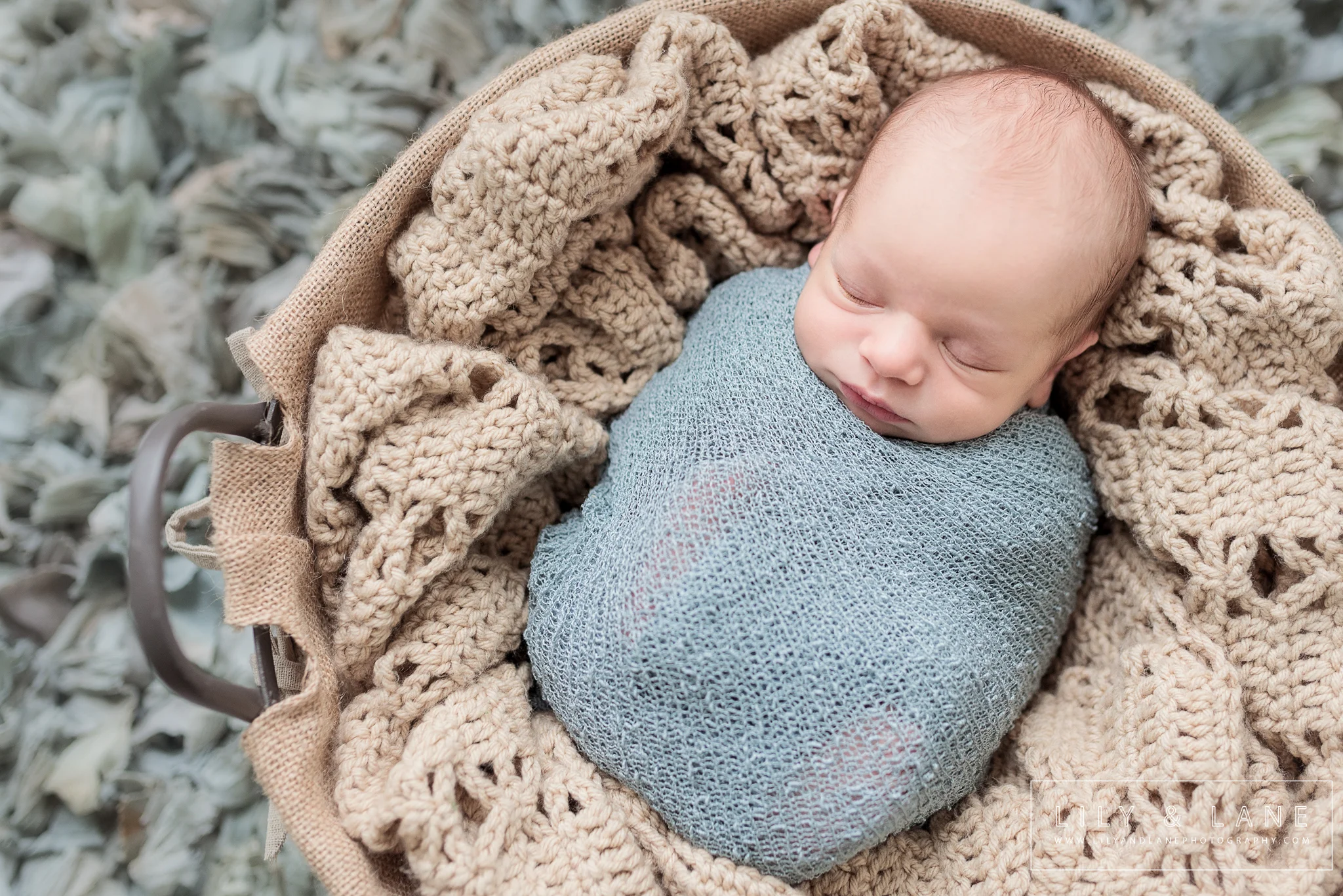 LilyandLane_VictoriaBC_NewbornPhotographer (3).jpg