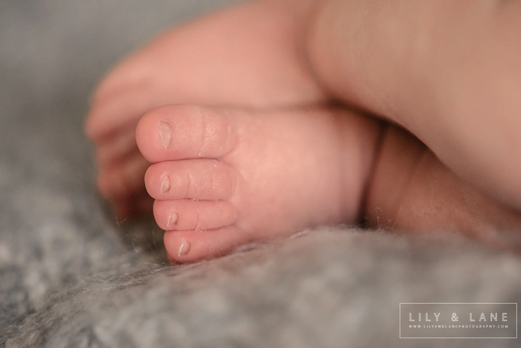 LilyandLane_VictoriaBC_NewbornPhotographer (27).jpg
