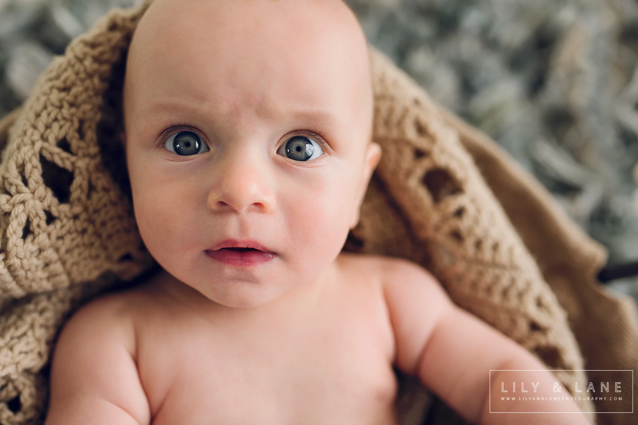 Nicola_Reiersen_Family_Photographer_Victoria_BC.jpg