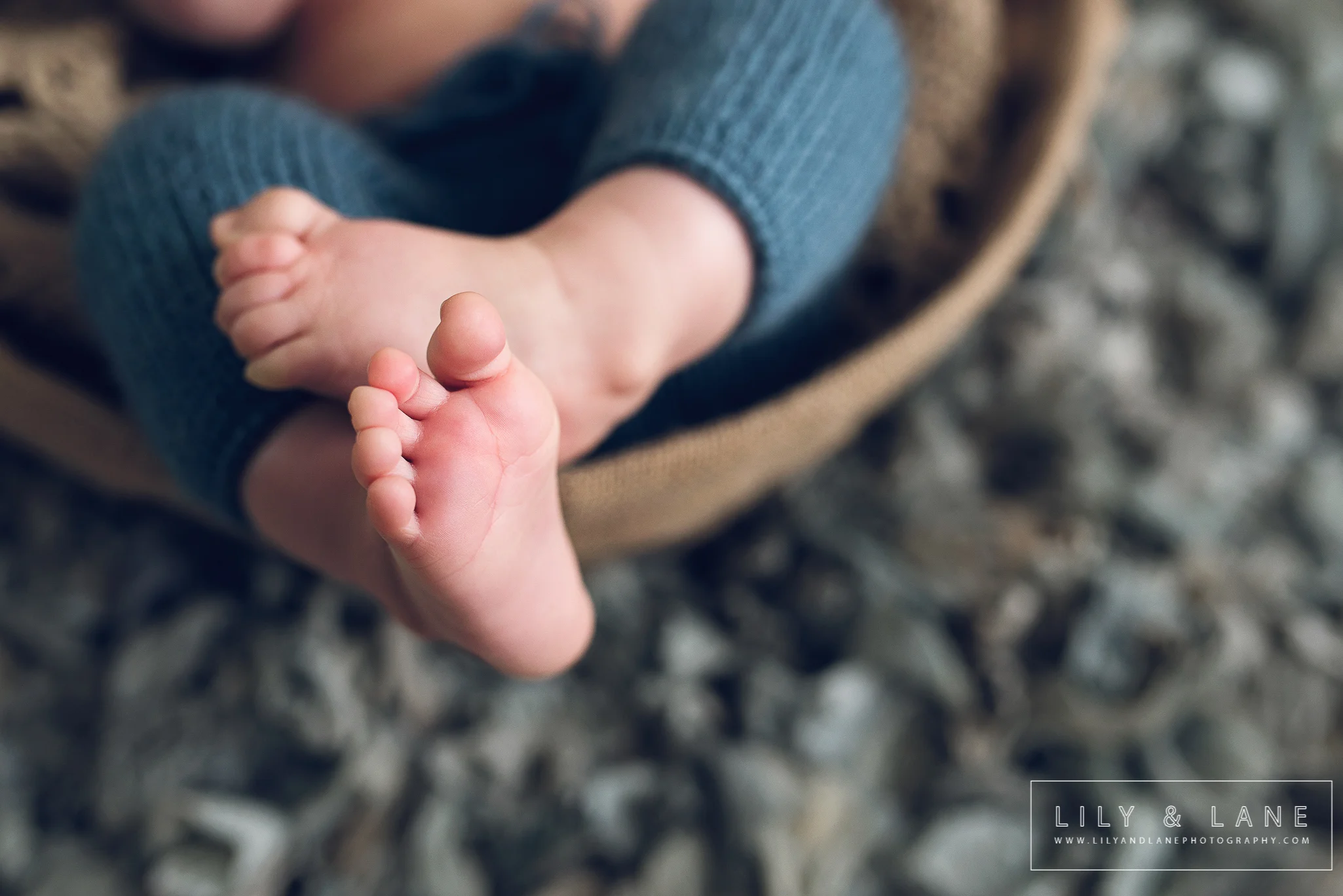 Nicola_Reiersen_Family_Photographer_Victoria_BC.jpg