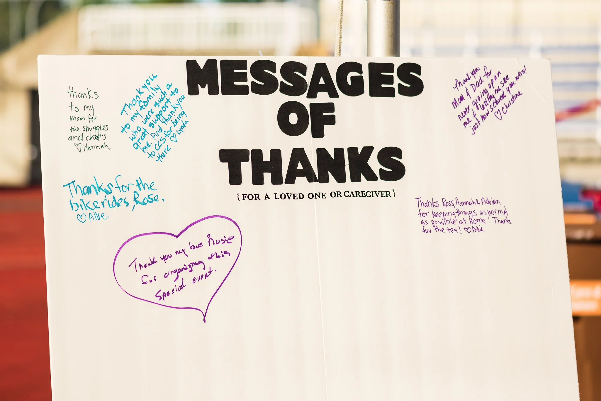 Lily_and_Lane_Relay_For_Life_Victoria_2015 (103).jpg