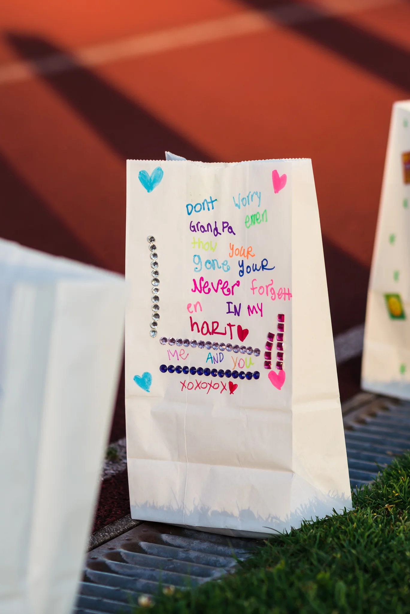 Lily_and_Lane_Relay_For_Life_Victoria_2015 (288).jpg