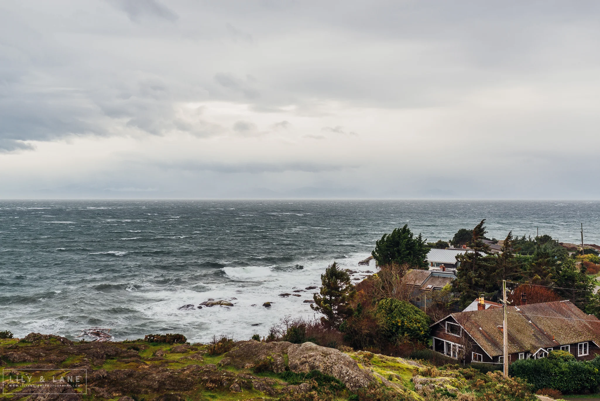 Nicola_Reiersen_Photography_Victoria_BC_Winter_Storm.jpg