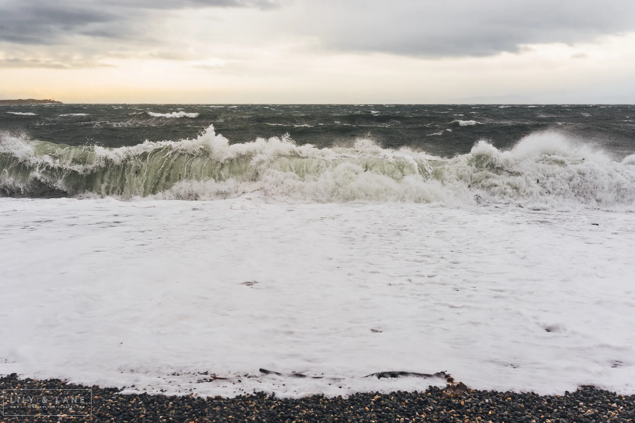 Nicola_Reiersen_Photography_Victoria_BC_Winter_Storm.jpg