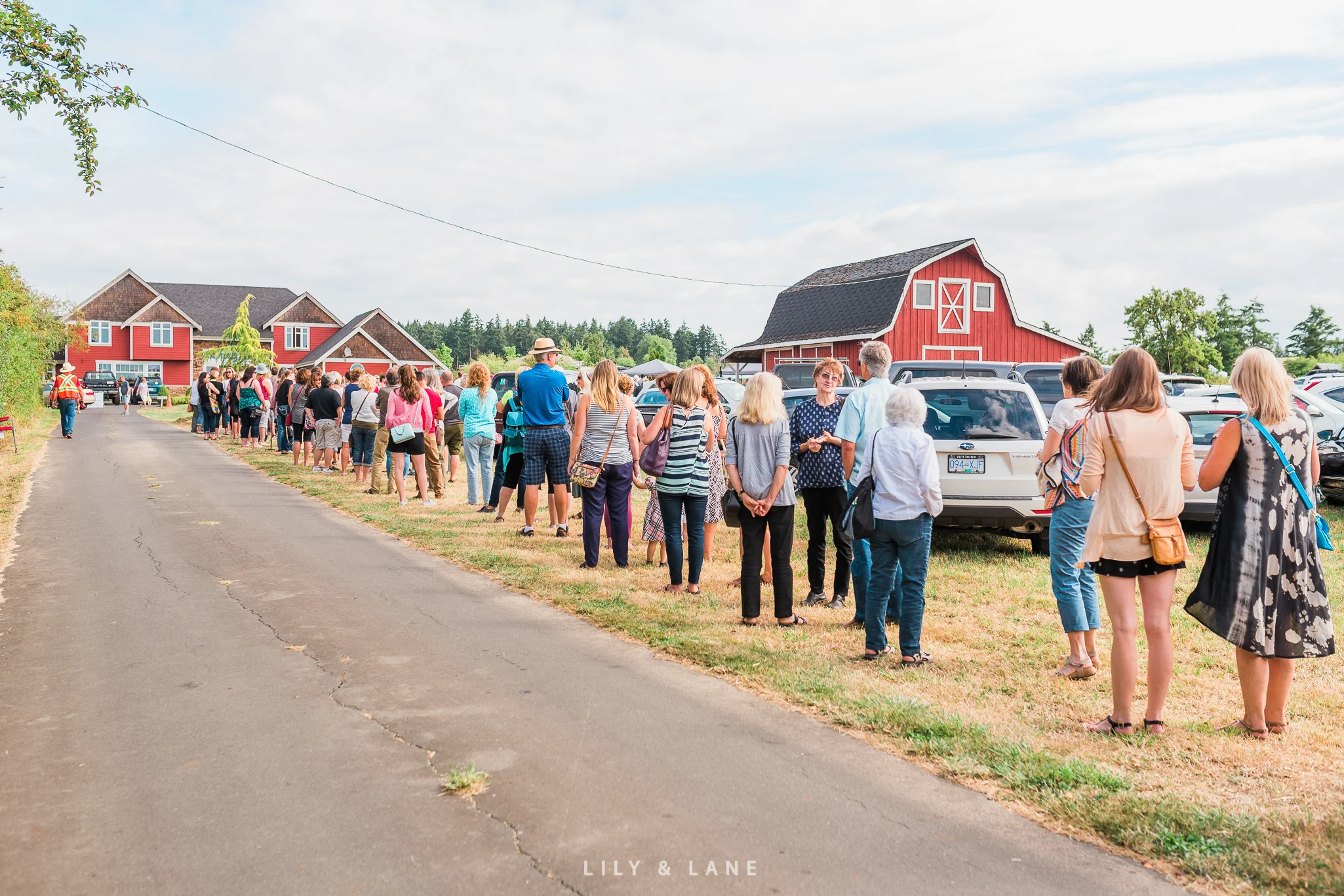 Nicola Reiersen Photography Island Mavins 2016