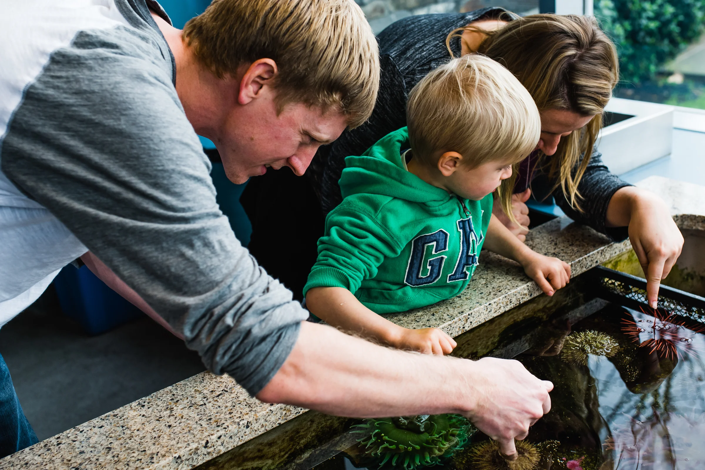 Nicola_Reiersen_Photography_Victoria_BC_Family_Photographer.jpg