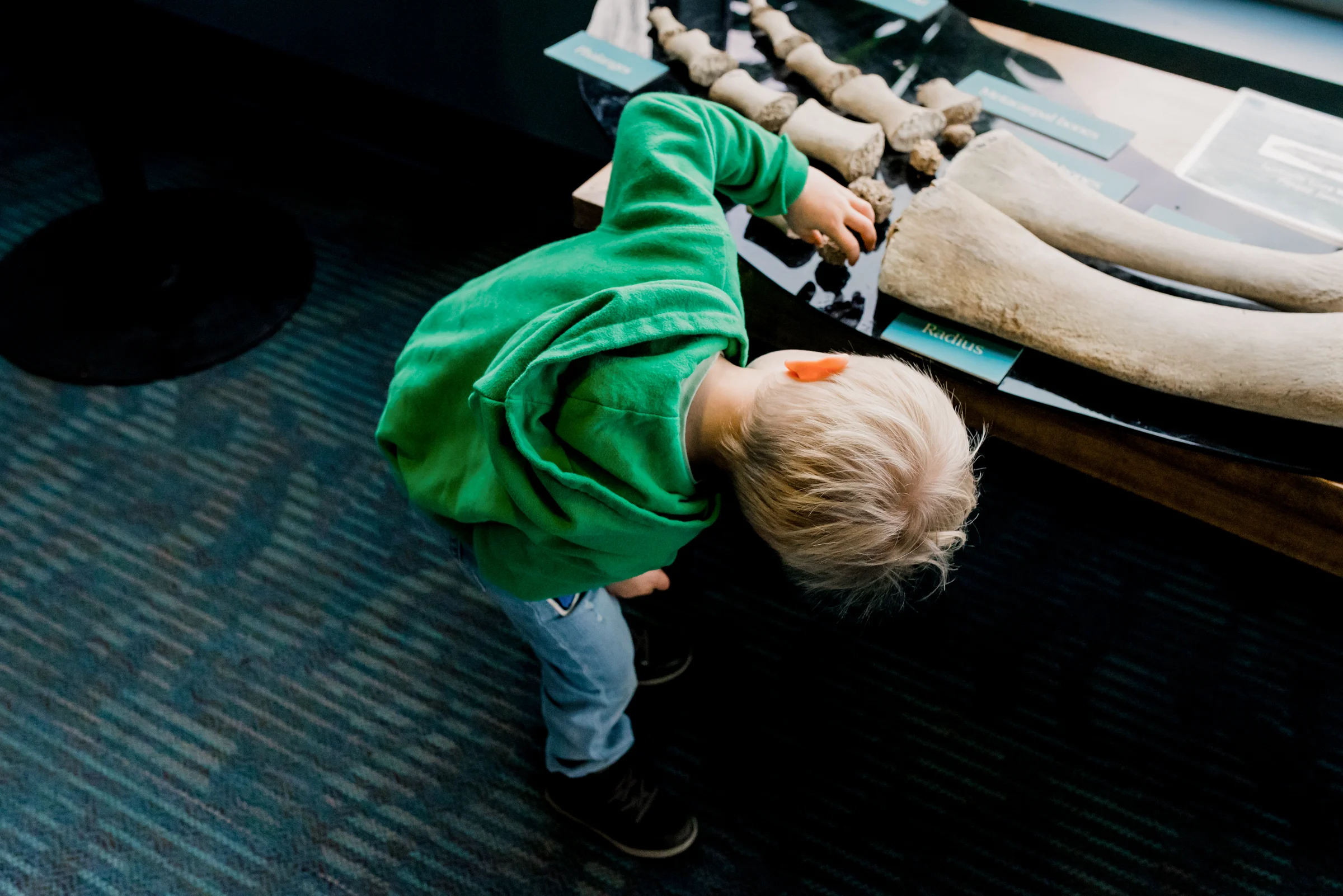 Nicola_Reiersen_Photography_Victoria_BC_Family_Photographer.jpg