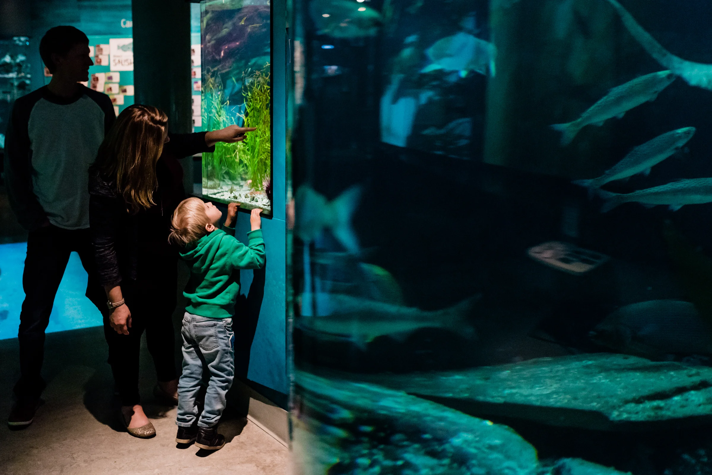 Nicola_Reiersen_Photography_Victoria_BC_Family_Photographer.jpg