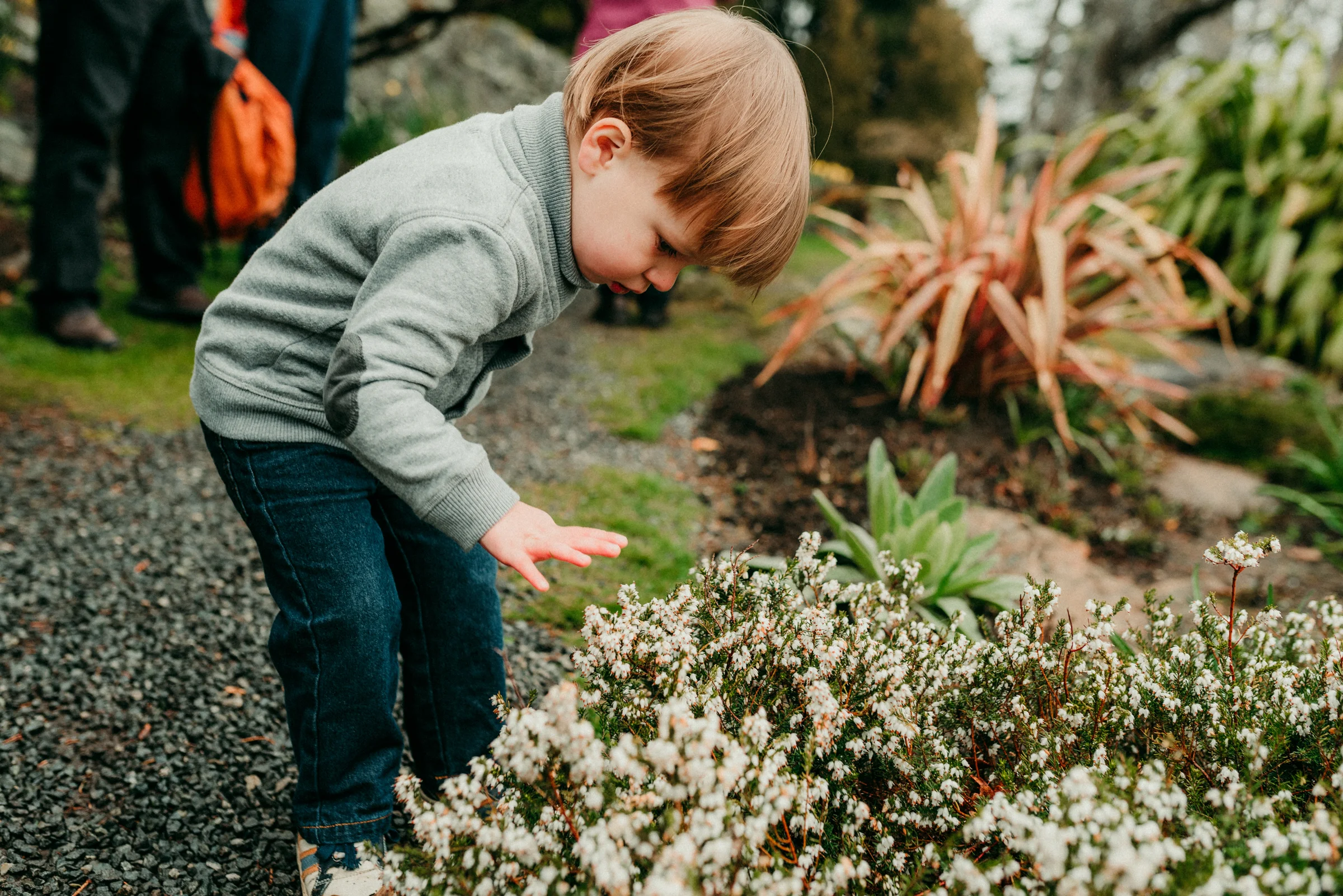Nicola_Reiersen_Photography_Victoria_BC_Family_Photographer.jpg